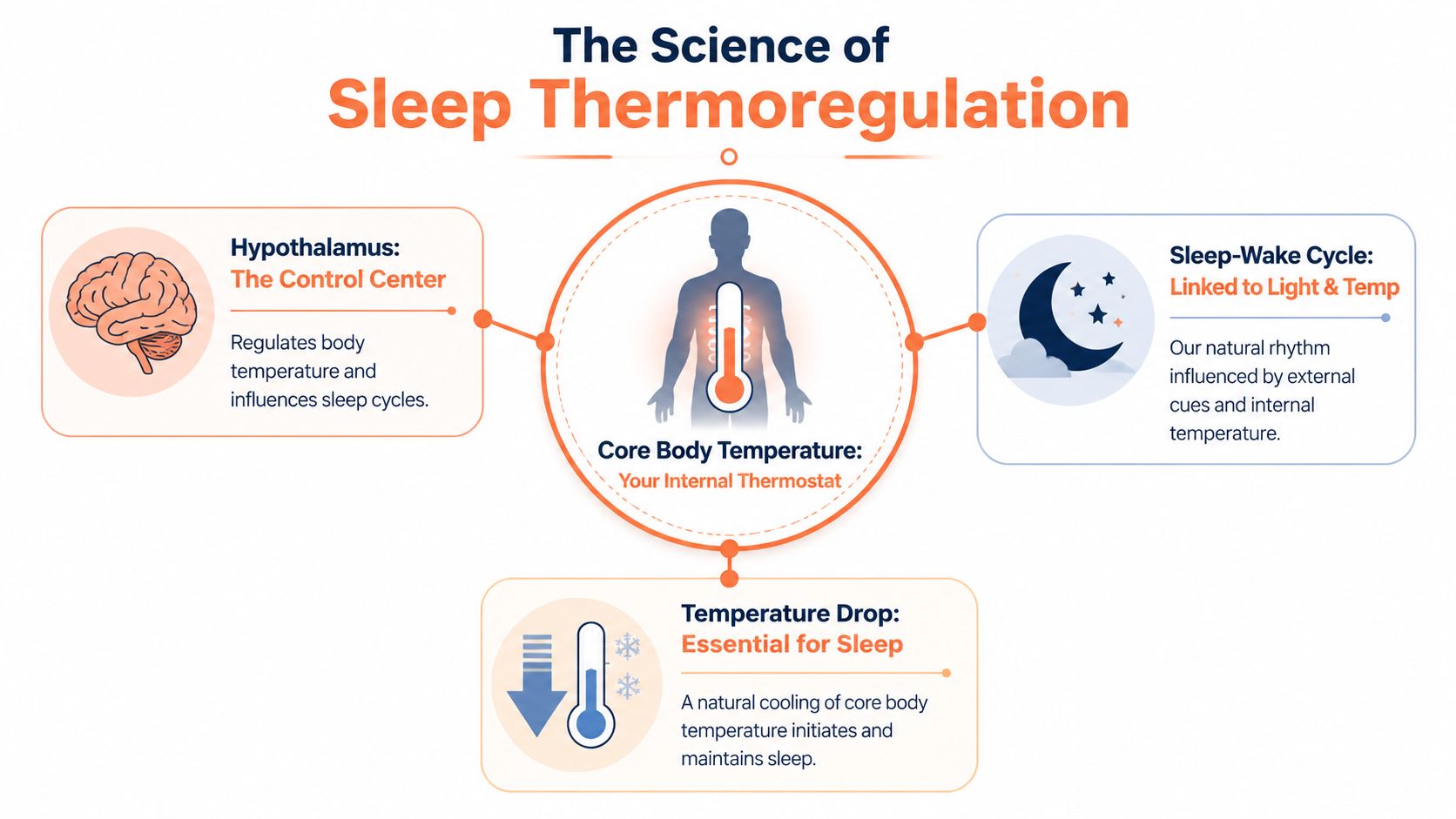 An infographic titled The Science of Sleep Thermoregulation explaining how body temperature affects sleep cycles.