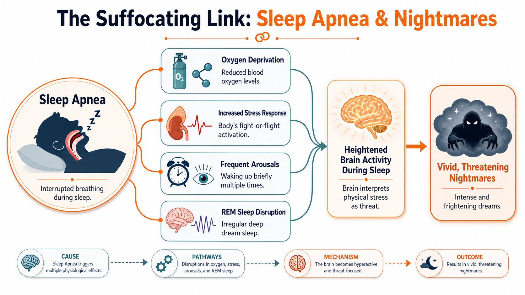 An infographic showing how sleep apnea causes physiological stress, leading to heightened brain activity and vivid nightmares.