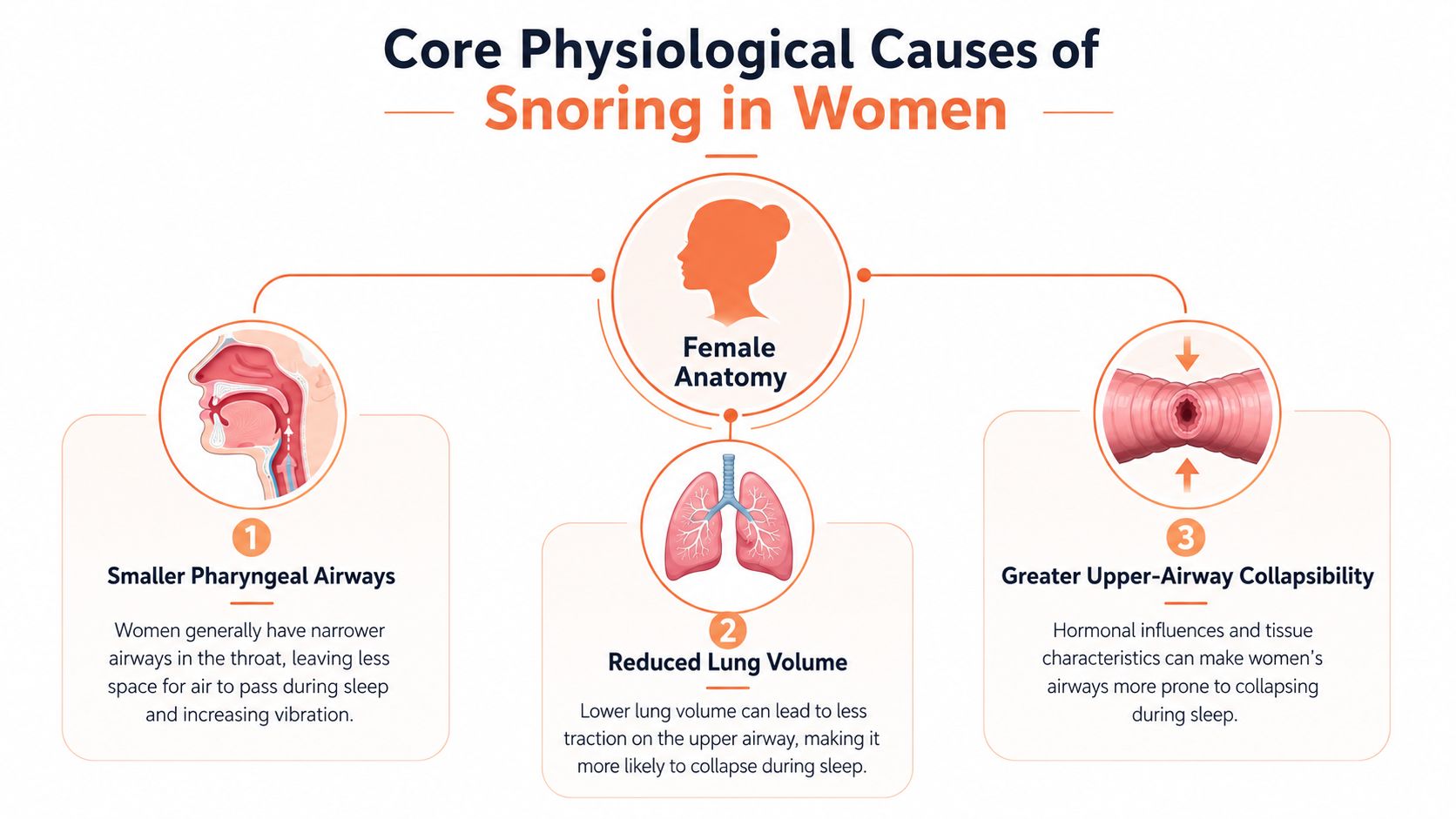 An infographic detailing the three main physiological reasons women experience snoring, including airway size and lung volume.