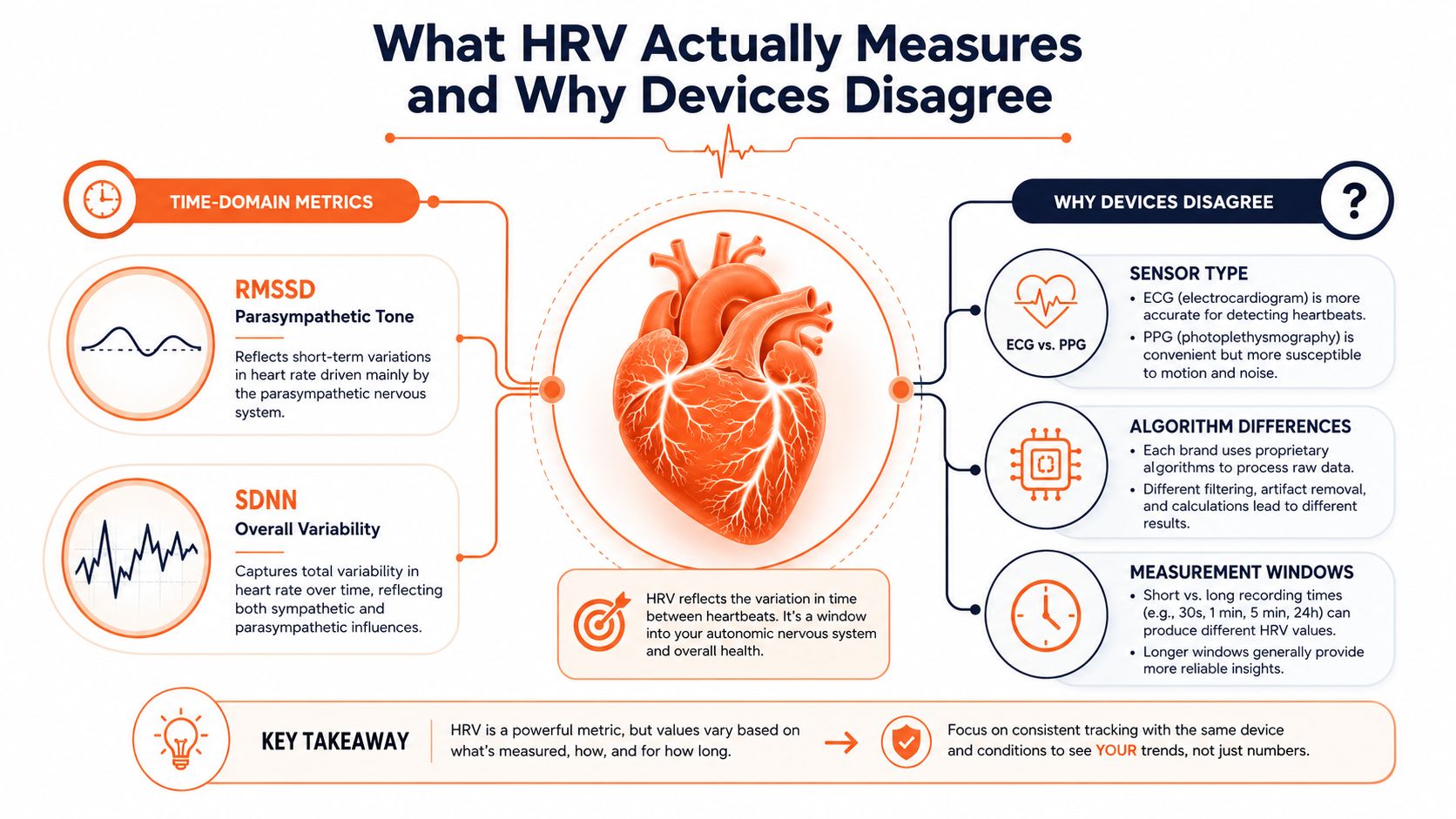 An infographic explaining how heart rate variability (HRV) is measured and why different devices show different results.