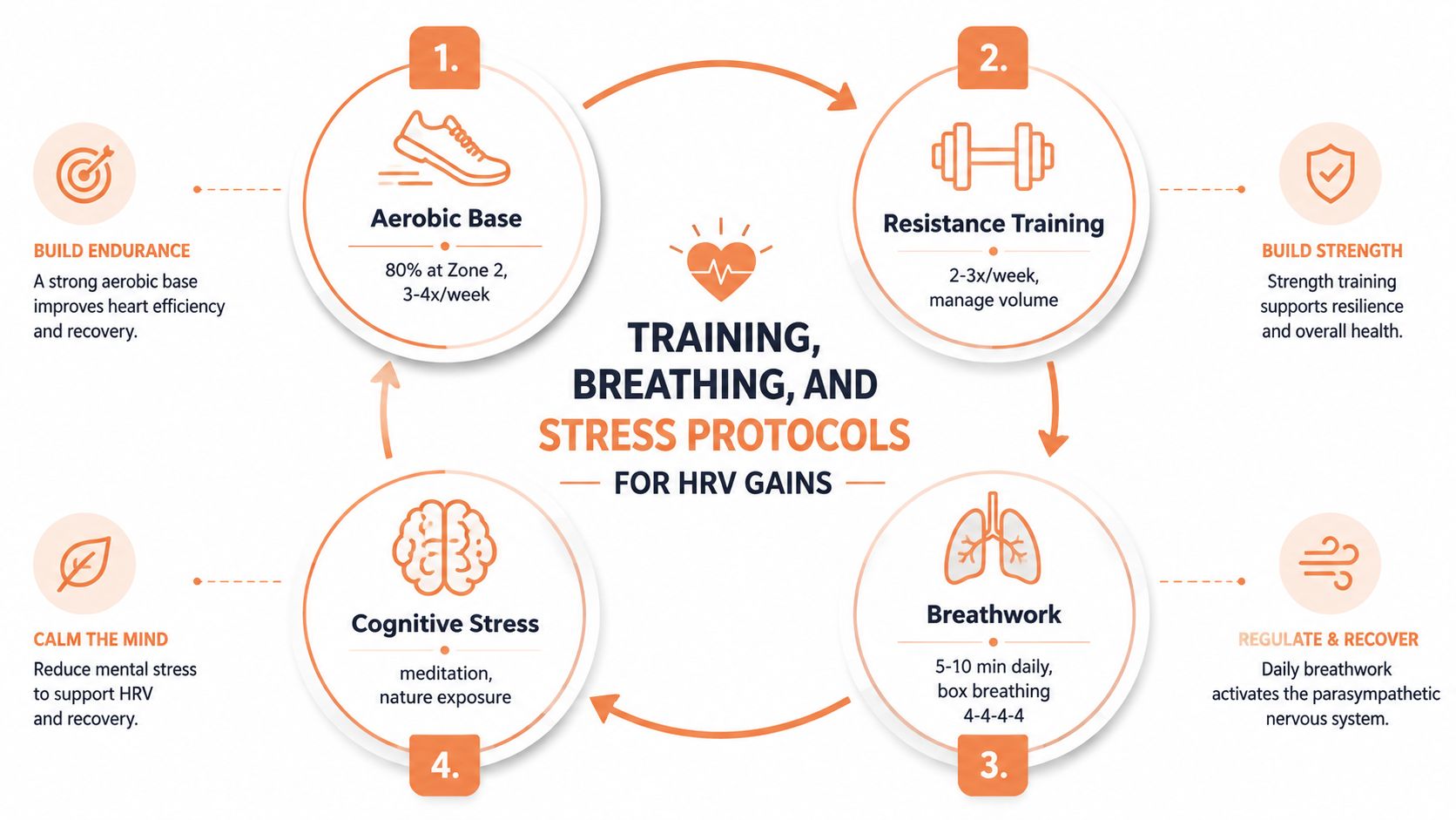 A circular diagram outlining four protocols including aerobic exercise, resistance training, breathwork, and meditation to improve HRV.