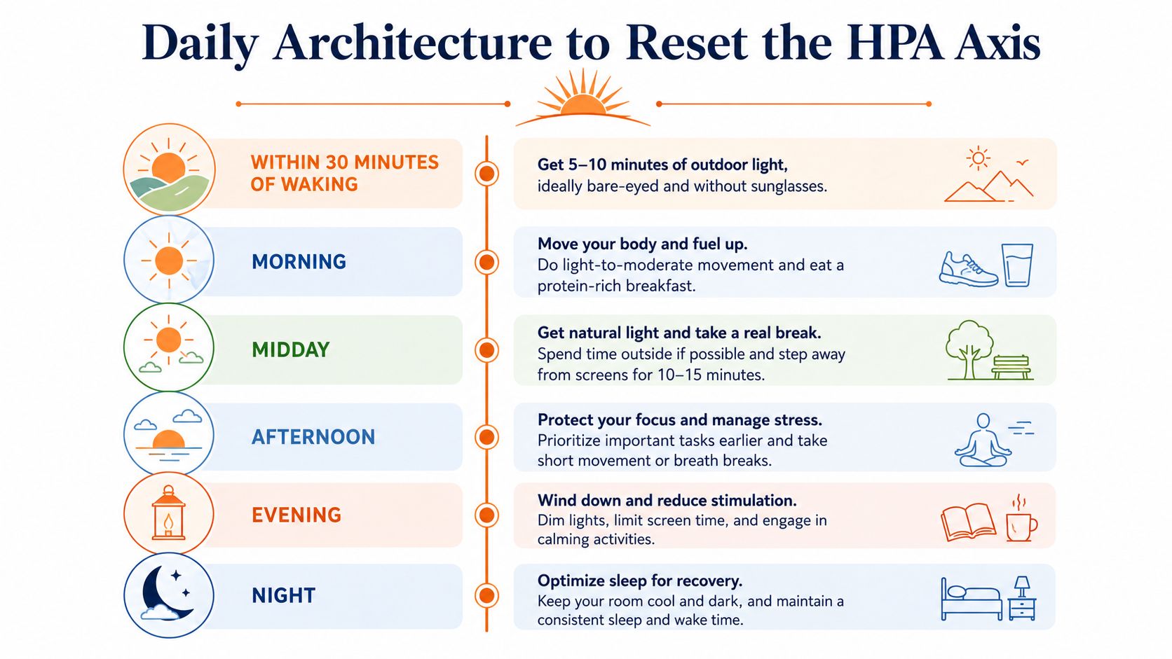 An infographic titled Daily Architecture to Reset the HPA Axis, outlining daily habits for cortisol management.