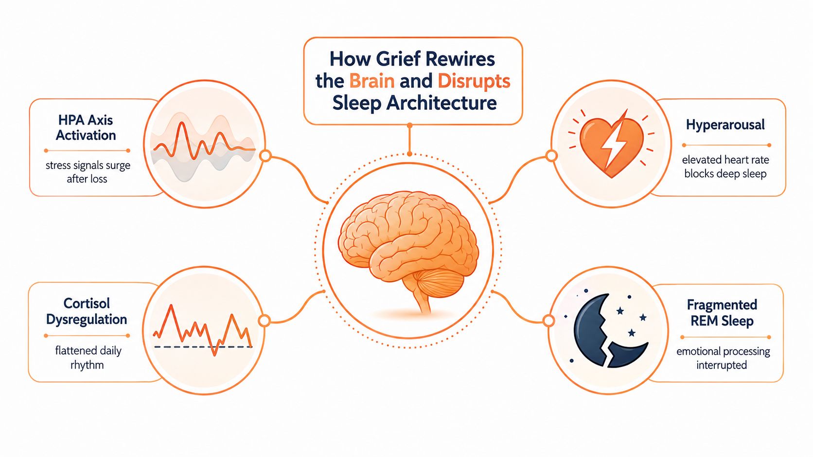 A diagram illustrating how grief impacts the brain and disrupts sleep architecture through physiological changes.