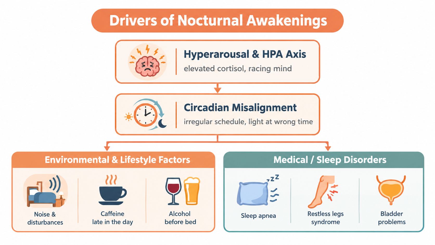 A flowchart infographic illustrating the various primary drivers of nocturnal awakenings, categorized by biological, lifestyle, and medical causes.