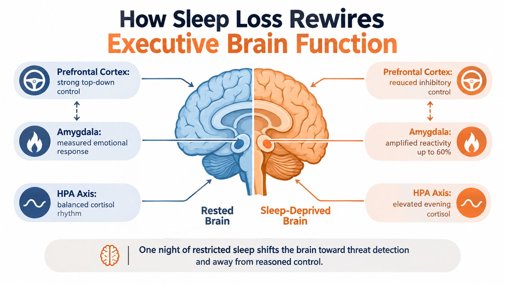 An infographic comparing brain functions in a rested state versus a sleep-deprived state with key brain regions.