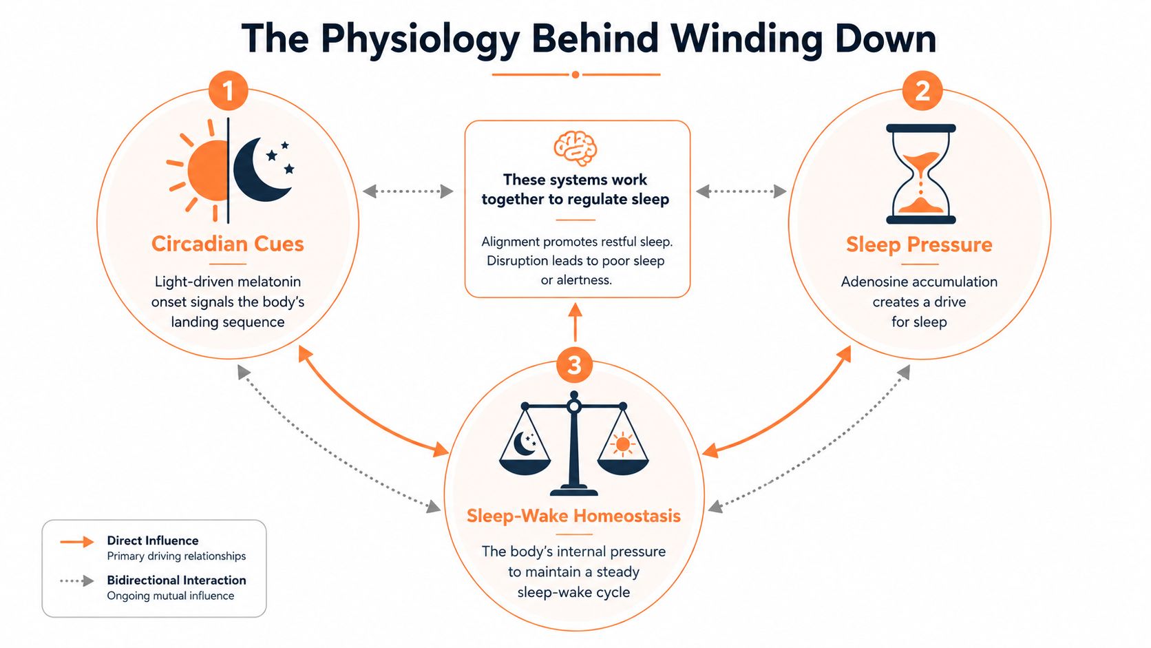 A diagram explaining the physiology behind winding down, highlighting circadian cues, sleep pressure, and sleep-wake homeostasis interaction.