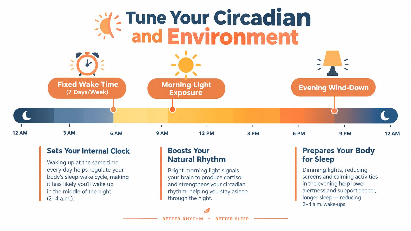 A circadian rhythm infographic illustrating how to fix sleep maintenance insomnia through daily routine and light exposure.