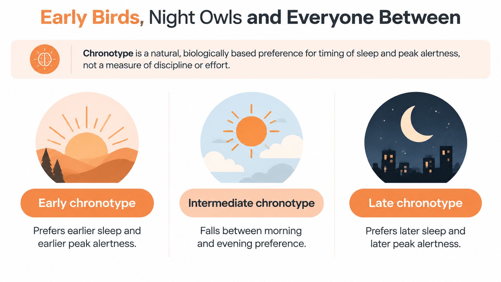 An infographic defining chronotype, showing three categories: early, intermediate, and late, illustrating daily sleep and alertness patterns.